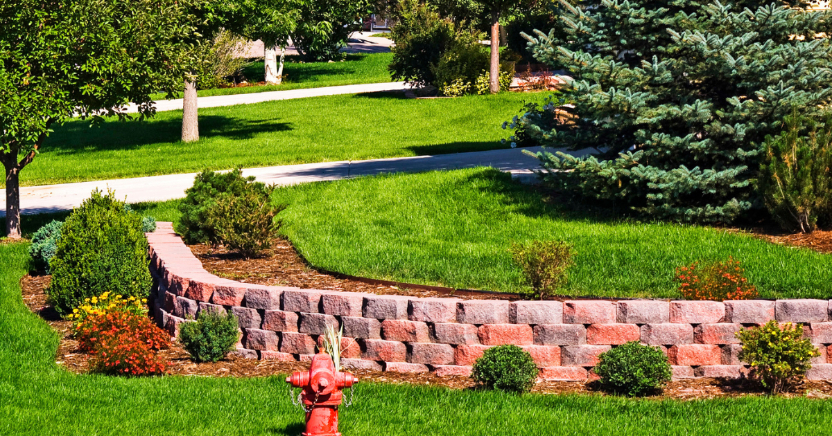 Landscaped yard with paver walkway and retaining wall